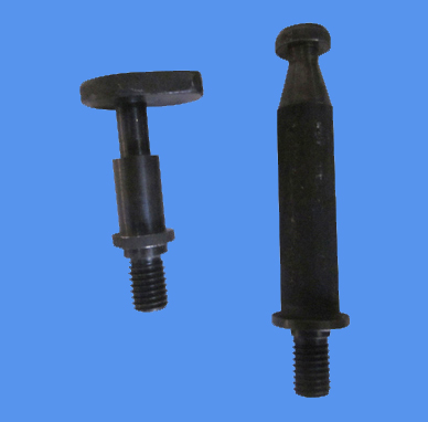 ����鿴��