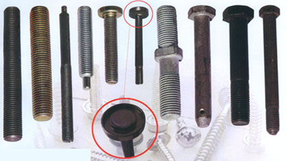 ����鿴��