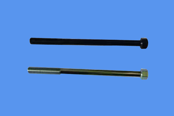 ����鿴��